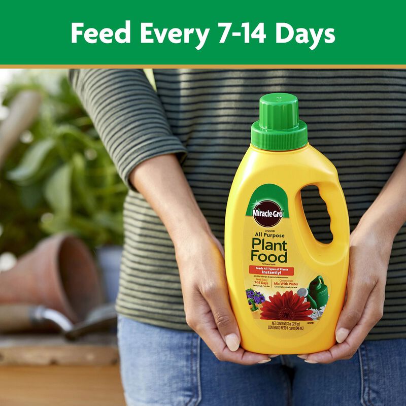 Miracle-Gro® Liquid All Purpose Plant Food Concentrate image number null